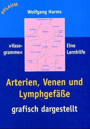 Arterien, Venen und Lymphgefässe grafisch dargestellt