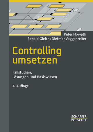 Controlling umsetzen