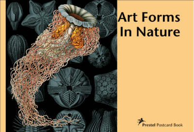 Art Forms in Nature