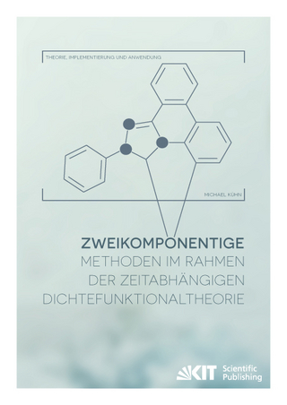 Zweikomponentige Methoden im Rahmen der zeitabhängigen Dichtefunktionaltheorie - Theorie, Implementierung und Anwendung