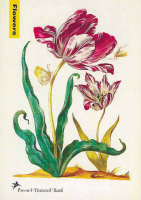 Maria Sibylla Merian - Blumen