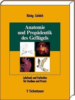 Anatomie und Propädeutik des Geflügels