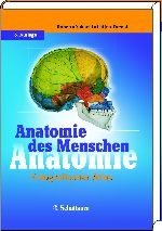 Anatomie des Menschen