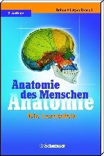 Anatomie des Menschen