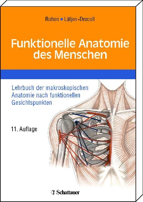 Funktionelle Anatomie des Menschen - Johannes W. Rohen, Elke L&uuml;tjen-Drecoll