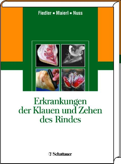 Erkrankungen der Klauen und Zehen des Rindes - 