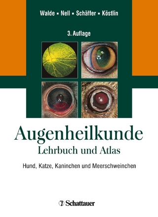 Augenheilkunde