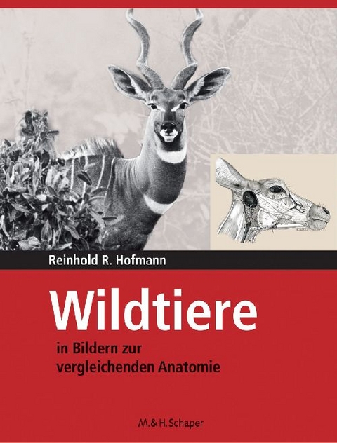 Wildtiere in Bildern zur Vergleichenden Anatomie - Reinhold R. Hofmann