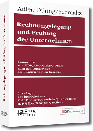 Rechnungslegung und Prüfung der Unternehmen