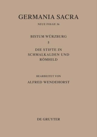 Die Bistümer der Kirchenprovinz Mainz: Das Bistum Würzburg 5: Die Stifte in Schmalkalden und Römhild