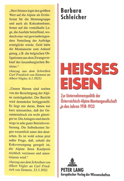 Hei&szlig;es Eisen - Barbara Schleicher