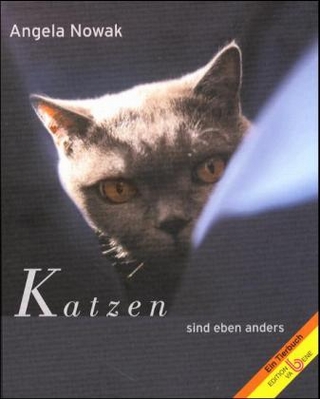 Katzen