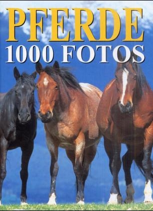 1000 Pferde