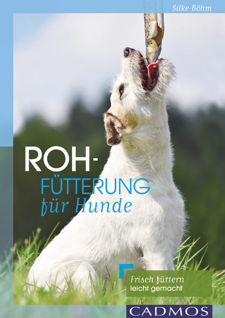 Rohf&uuml;tterung f&uuml;r Hunde - Silke B&ouml;hm