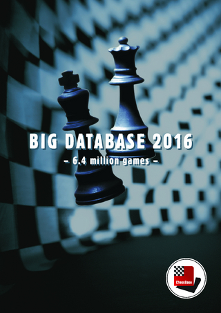 Big Database 2016