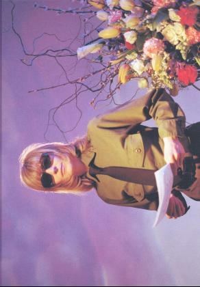 Art Directors Club Schweiz Jahrbuch 1999, m. Videokassette