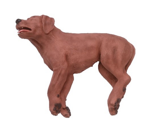 HLW-&Uuml;bungshund CasPeR