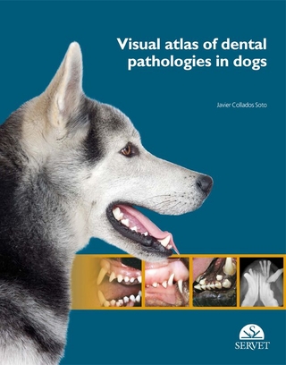 Visual Atlas of Dental Pathologies in Dogs