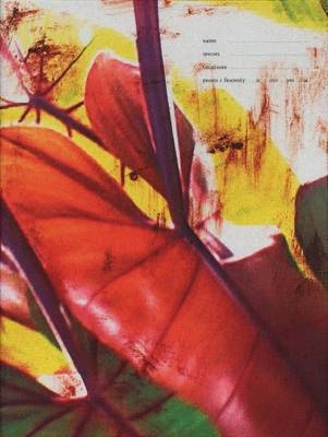 Pepperminta Homa sapiens sapiens