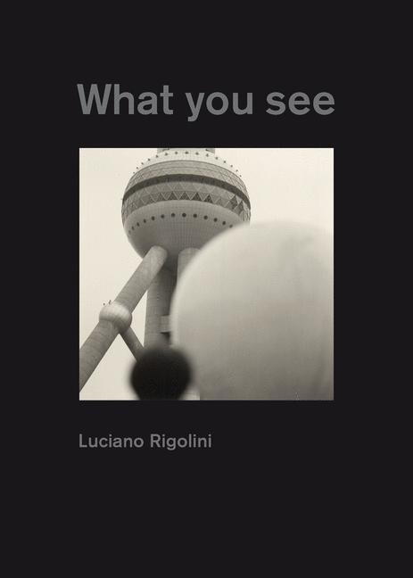 What You See - Luciano Rigolini