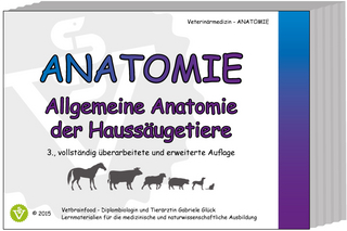 Allgemeine Anatomie der Haussäugetiere