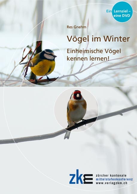 V&ouml;gel im Winter: Lern-DVD - Res Gnehm