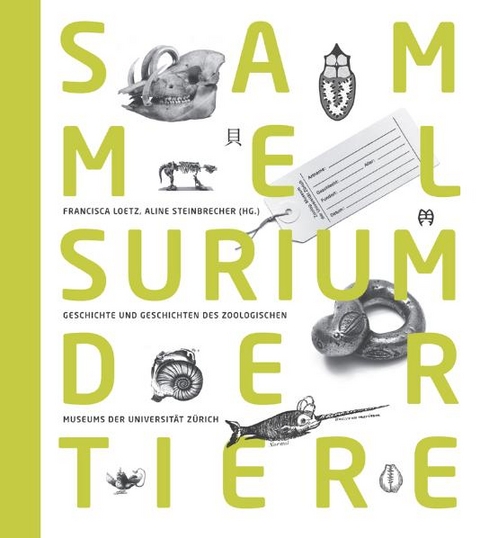 Sammelsurium der Tiere - 