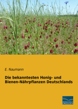 Die bekanntesten Honig- und Bienen-Nährpflanzen Deutschlands