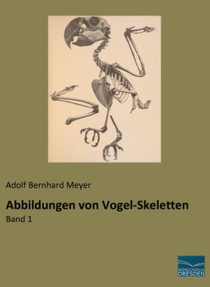 Abbildungen von Vogel-Skeletten