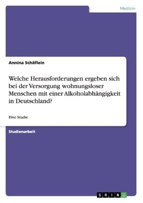 Welche Herausforderungen ergeben sich bei der Versorgung wohnungsloser Menschen mit einer Alkoholabh&auml;ngigkeit in Deutschland? - Annina Sch&auml;flein
