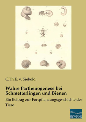 Wahre Parthenogenese bei Schmetterlingen und Bienen - C.Th.E. v. Siebold