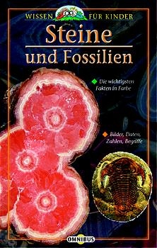 Steine und Fossilien