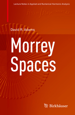 Morrey Spaces