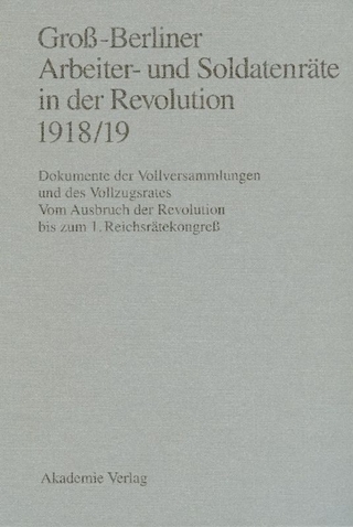 Groß-Berliner Arbeiter- und Soldatenräte in der Revolution 1918/19