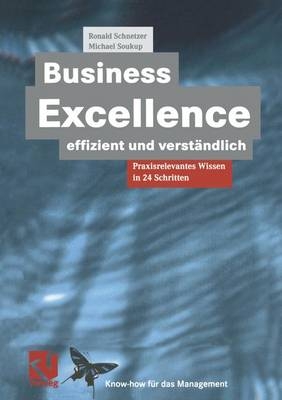 Business Excellence effizient und verst&auml;ndlich - Ronald Schnetzer, Michael Soukup