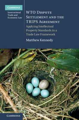 WTO Dispute Settlement and the TRIPS Agreement