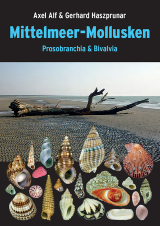 Mittelmeer-Mollusken