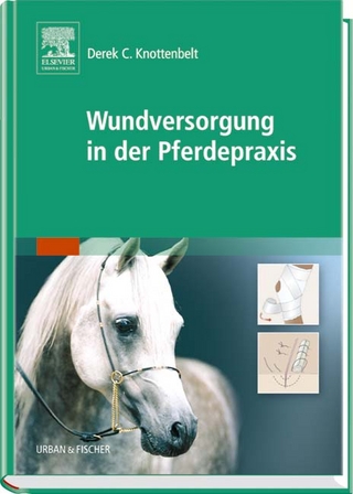 Wundversorgung in der Pferdepraxis