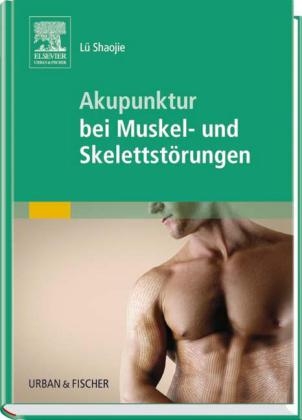 Akupunktur bei Muskel- und Skelettstörungen