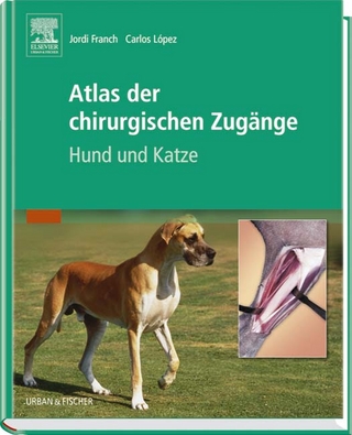 Atlas der chirurgischen Zugänge