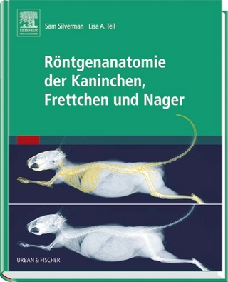 Röntgenanatomie der Kaninchen, Frettchen und Nager
