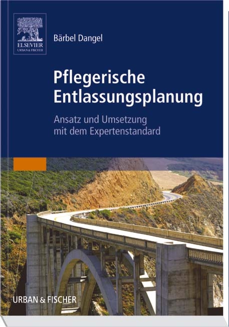 Pflegerische Entlassungsplanung - B&auml;rbel Dangel