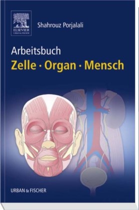 Arbeitsbuch Zelle Organ Mensch