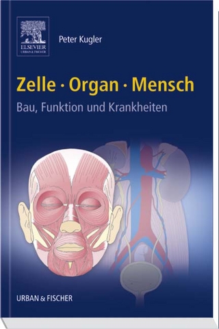 Zelle Organ Mensch
