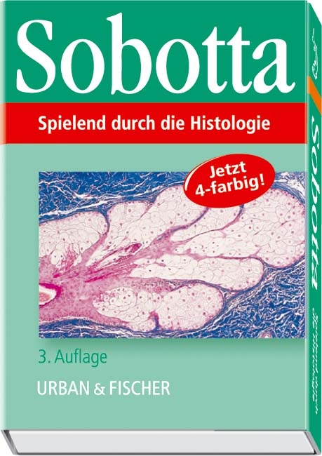 Spielend durch die Anatomie - Johannes Sobotta