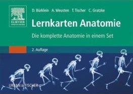 Lernkarten Anatomie