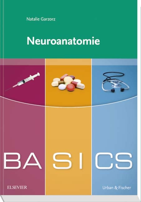 BASICS Neuroanatomie - Natalie Garzorz