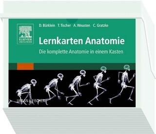 Lernkarten Anatomie