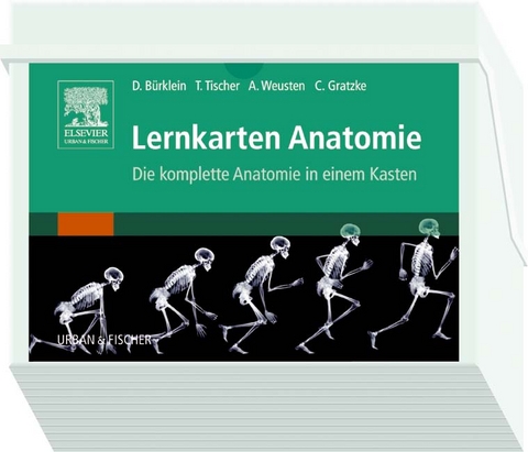Lernkarten Anatomie - Dominik B&uuml;rklein, Axel Weusten, Thomas Tischer, Christian Gratzke