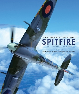Spitfire - John Dibbs, Tony Holmes